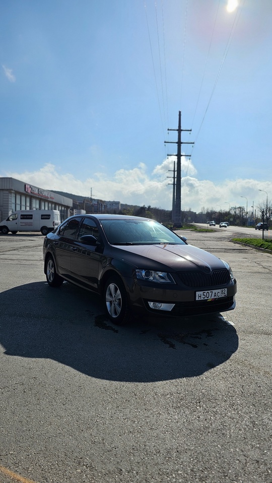 Skoda Octavia A7, 1.4 ДСГ, (9)