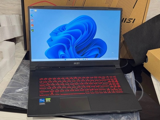 MSI\17.3" IPS \RTX 3060 и (3)