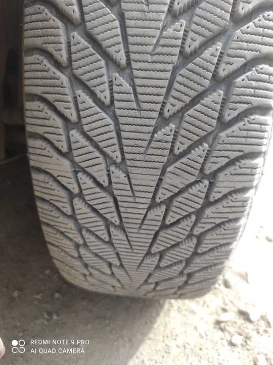 215/55/R17 98T Winter Drive 2