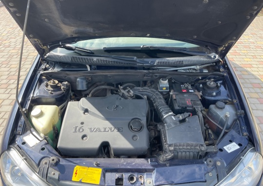 Продам Lada Kalina 2009 Год
(УКРАИНКА) (9)