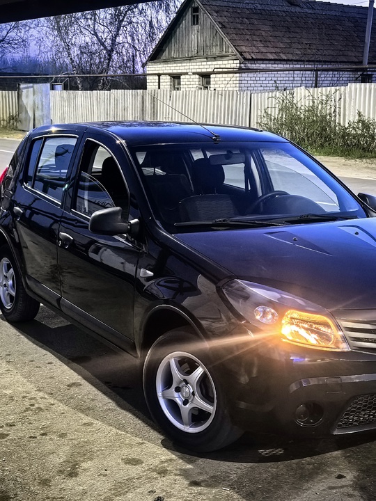 Renault Sandero 2011
В родне! Без (8)