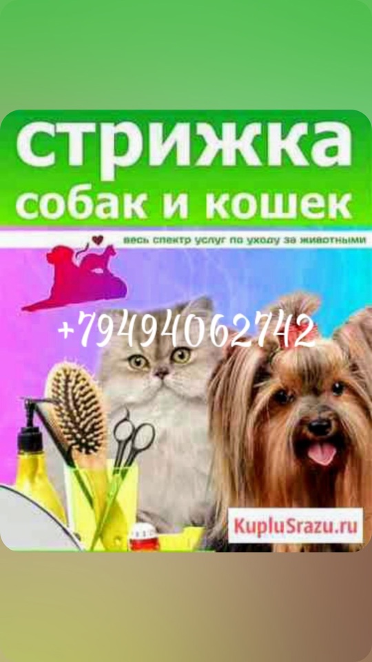 Груминг  собак и кошек