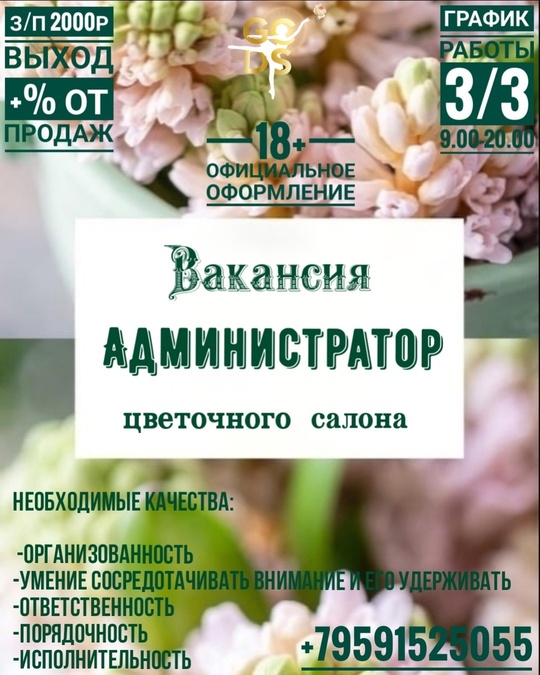 https://vk.com/strelitzia808 #Другое@lugansk_rabota