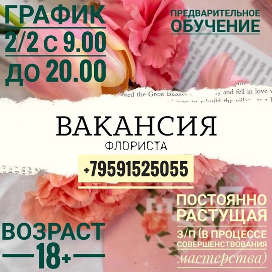https://vk.com/strelitzia808 #Другое@lugansk_rabota