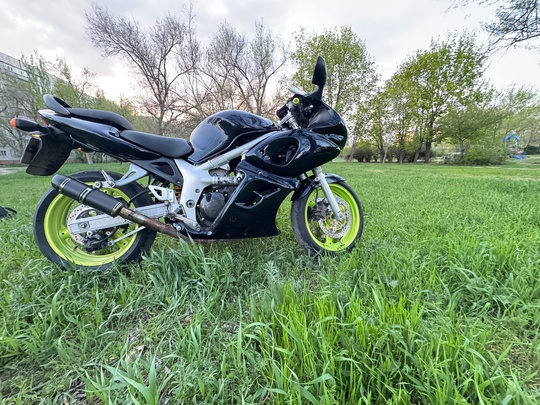 Продам Сузуки sv650s в хорошем