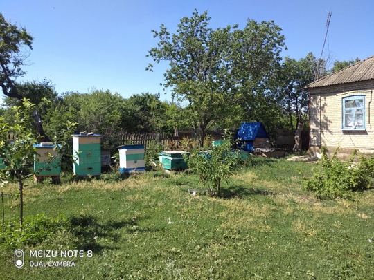 Собственник. Продам дом, село Новобешево, (3)