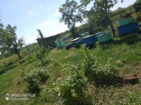 Собственник. Продам дом, село Новобешево, (8)