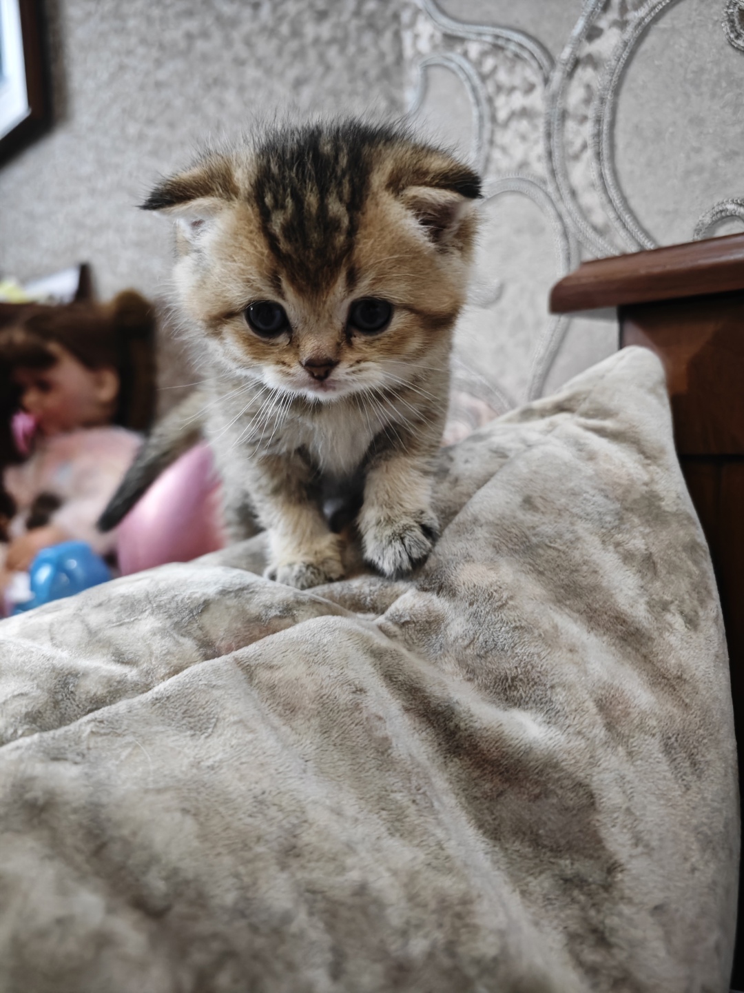 Готовы к переезду 2 сладких (3)