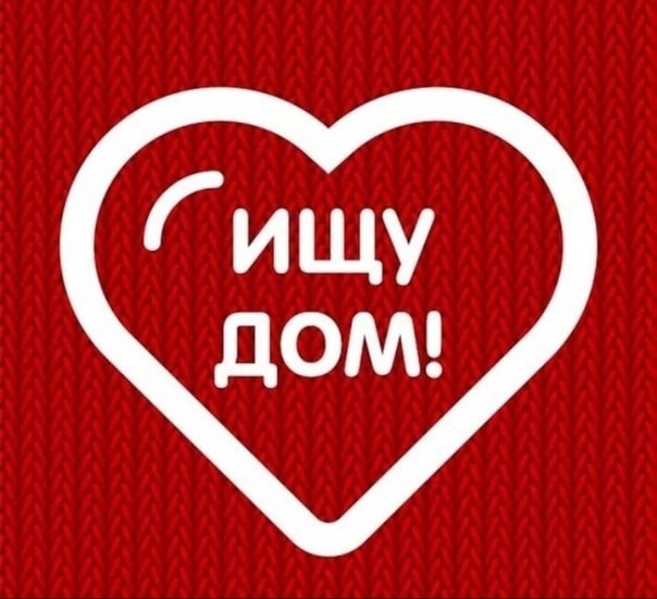 ‼️ Вот такая девочка Белла