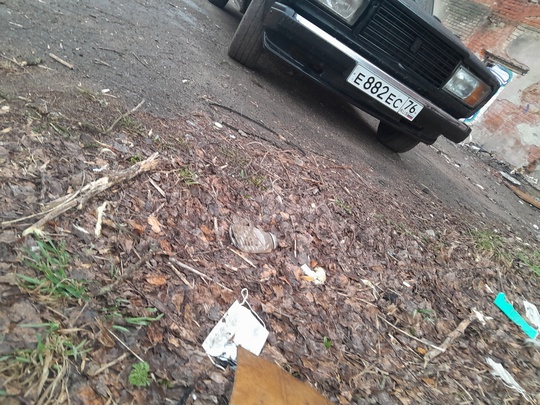Автомобиль: ваз 2107
Город осмотра: ярославаль (9)