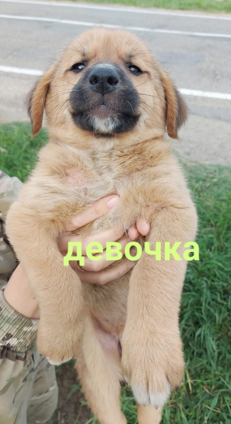 Адыгейск! Лето, все собираются в