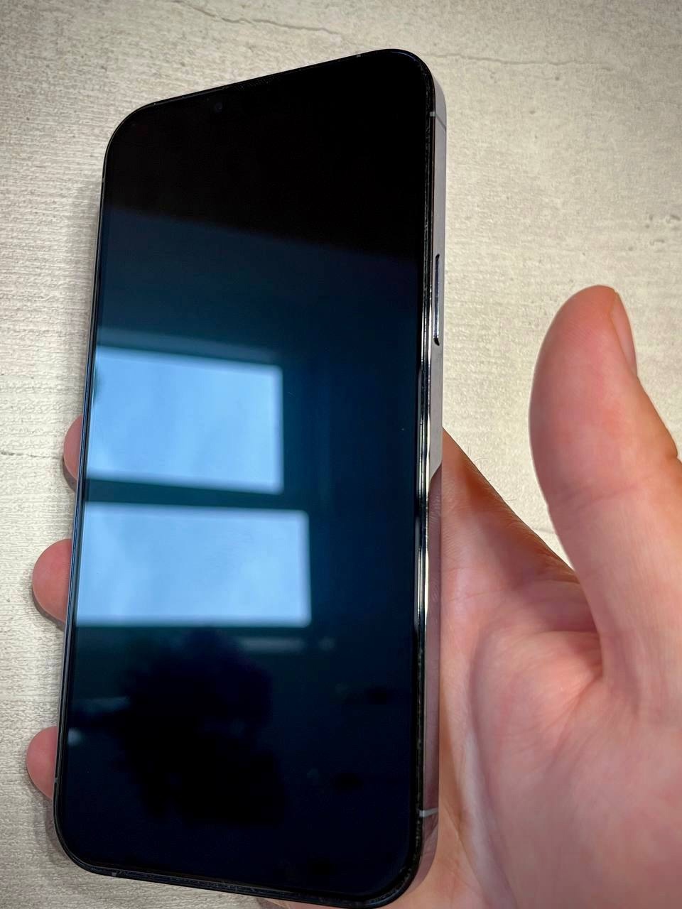 iPhone 13 Pro Max 256 (2)