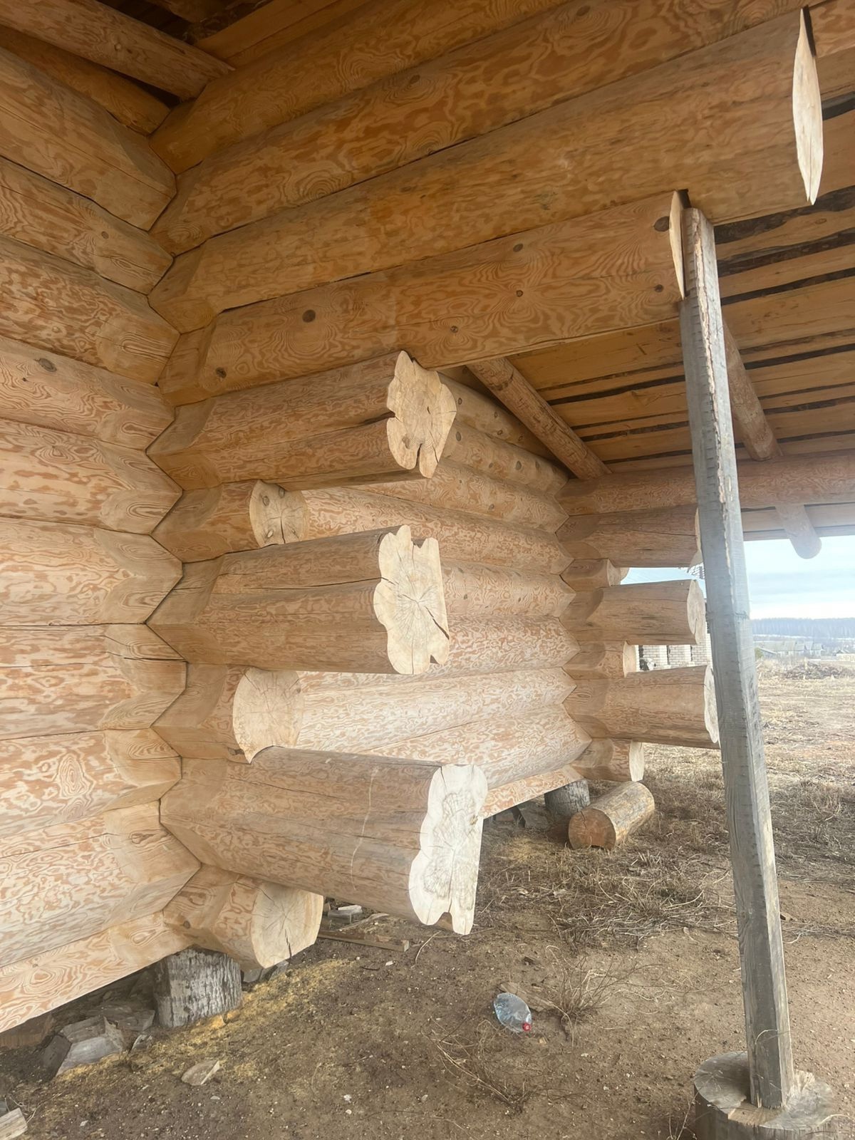 Пятистенник с верандой и сосновым (3)