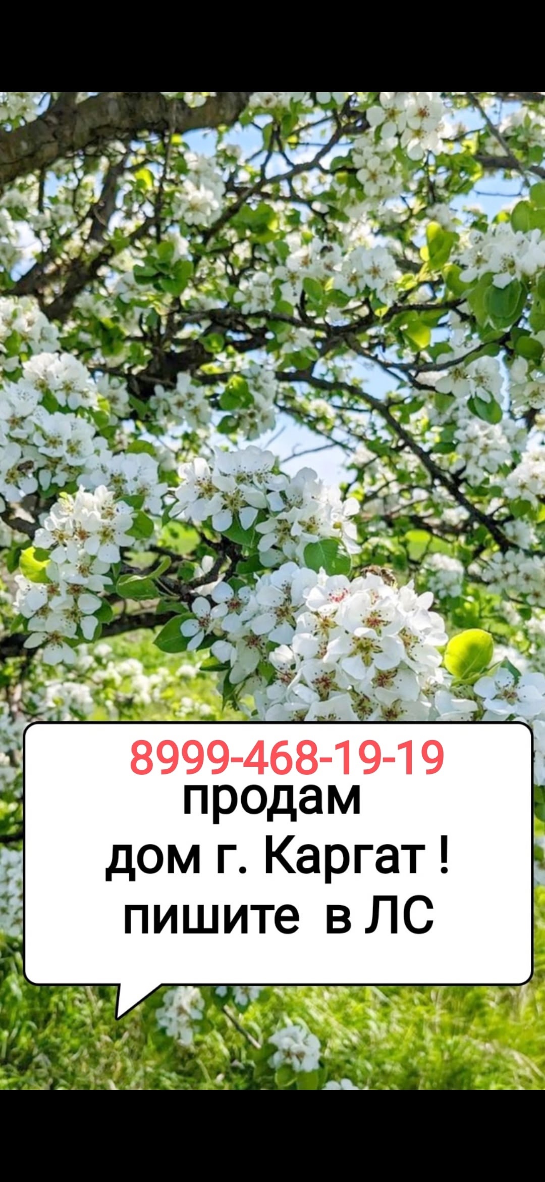 Домик в живописных местах Продается