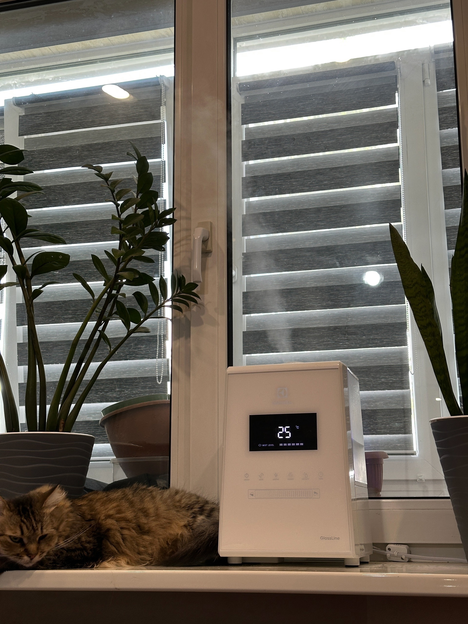 Увлажнитель Electrolux GlossLine ENH-3615D Продается