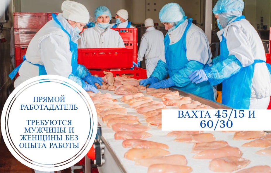 Вакансии на птицефабрике: стабильный доход