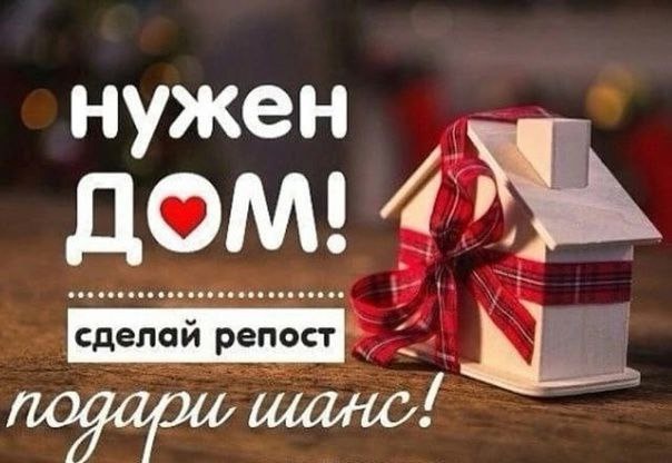 ### Подберите дом для очаровательных (3)