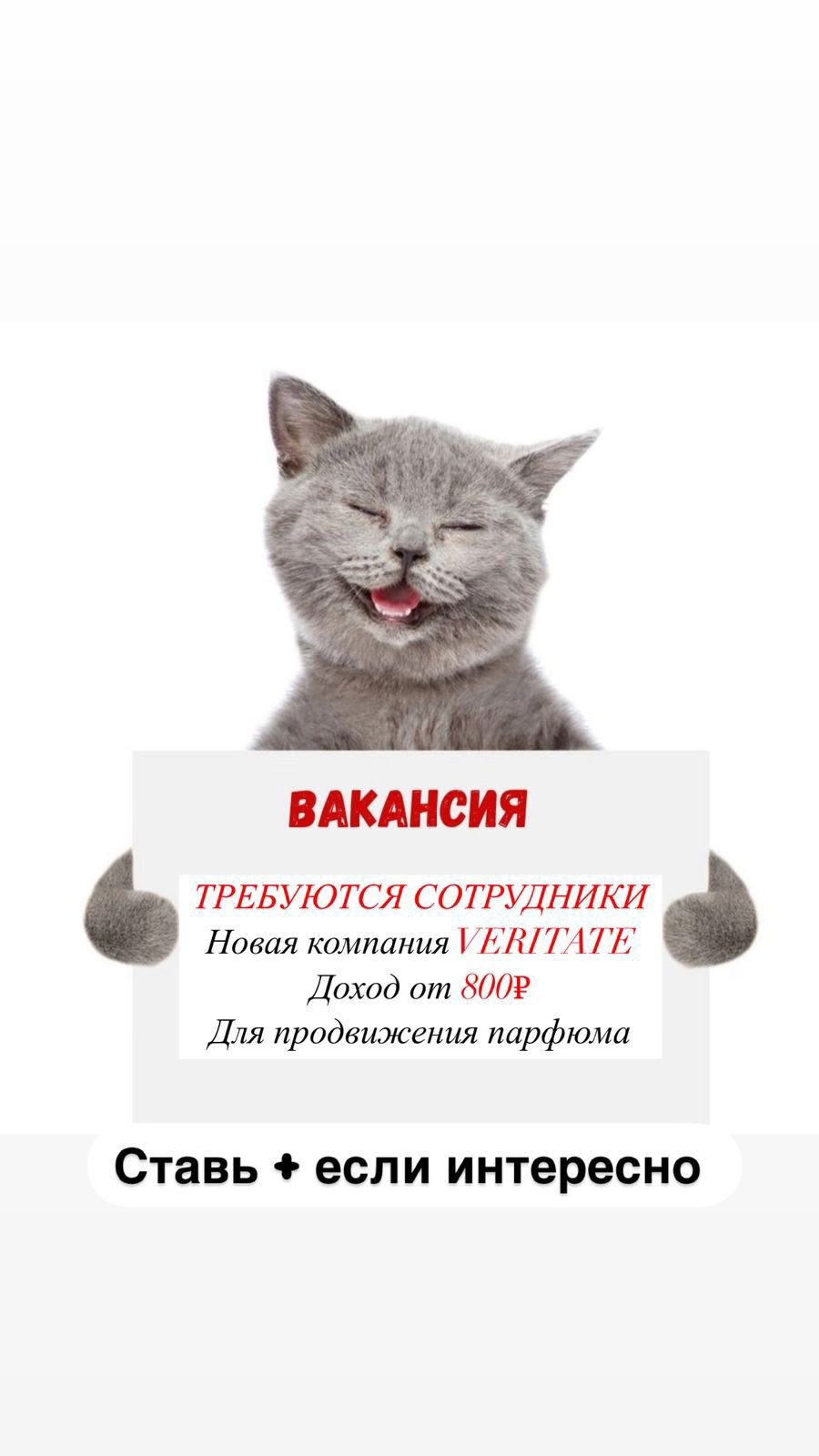 Узнай всю информацию от меня