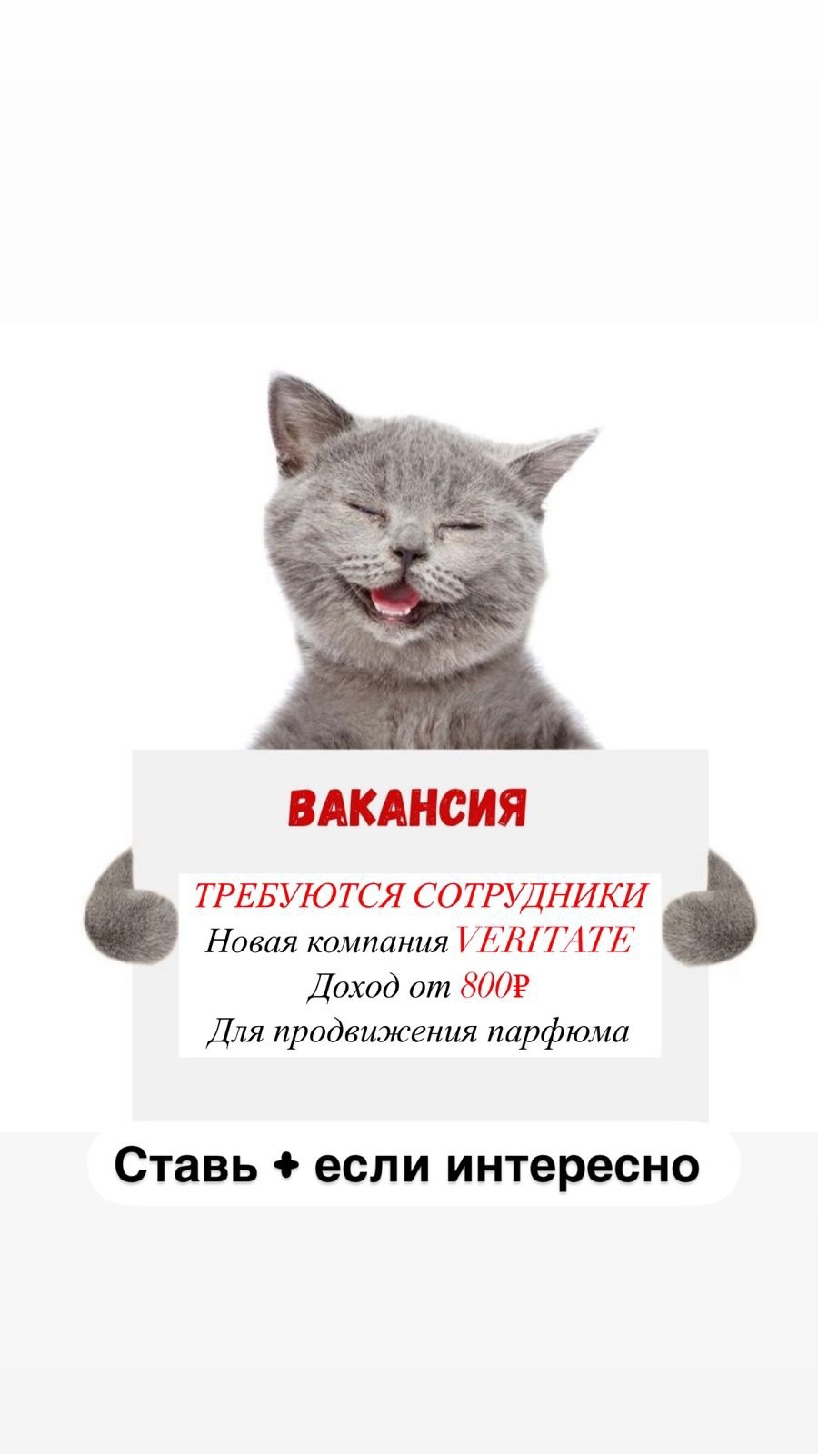 Вакансии в интернет-магазине парфюмерии В