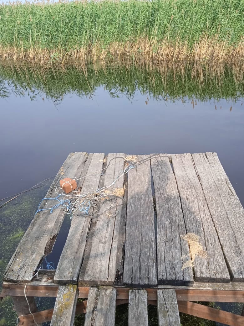 Дом у озера в Пчелиновке (9)