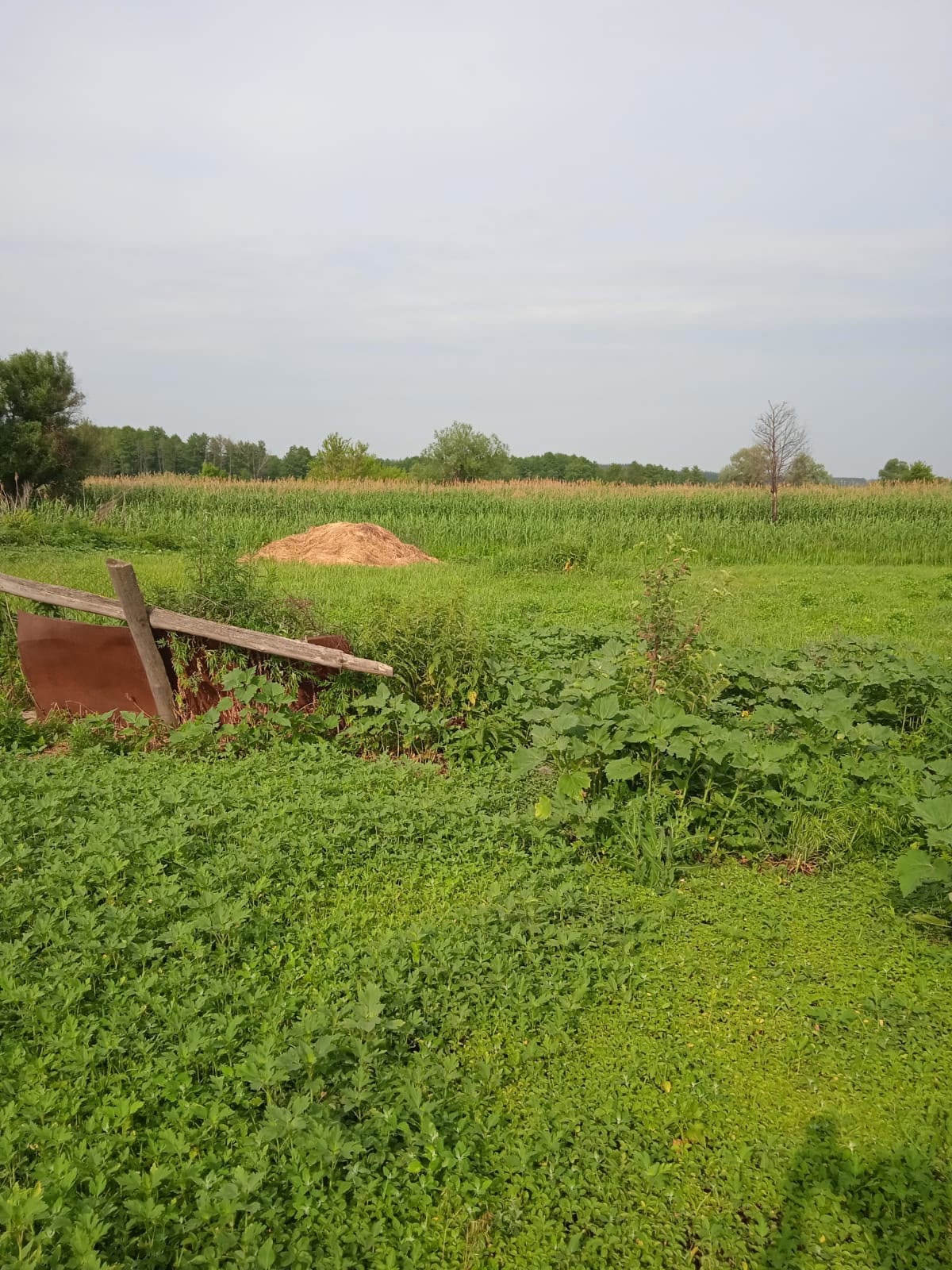 Дом у озера в Пчелиновке (6)