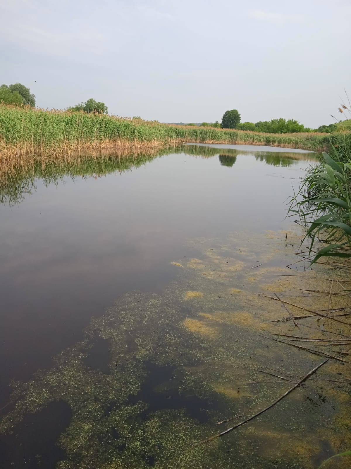 Дом у озера в Пчелиновке (8)