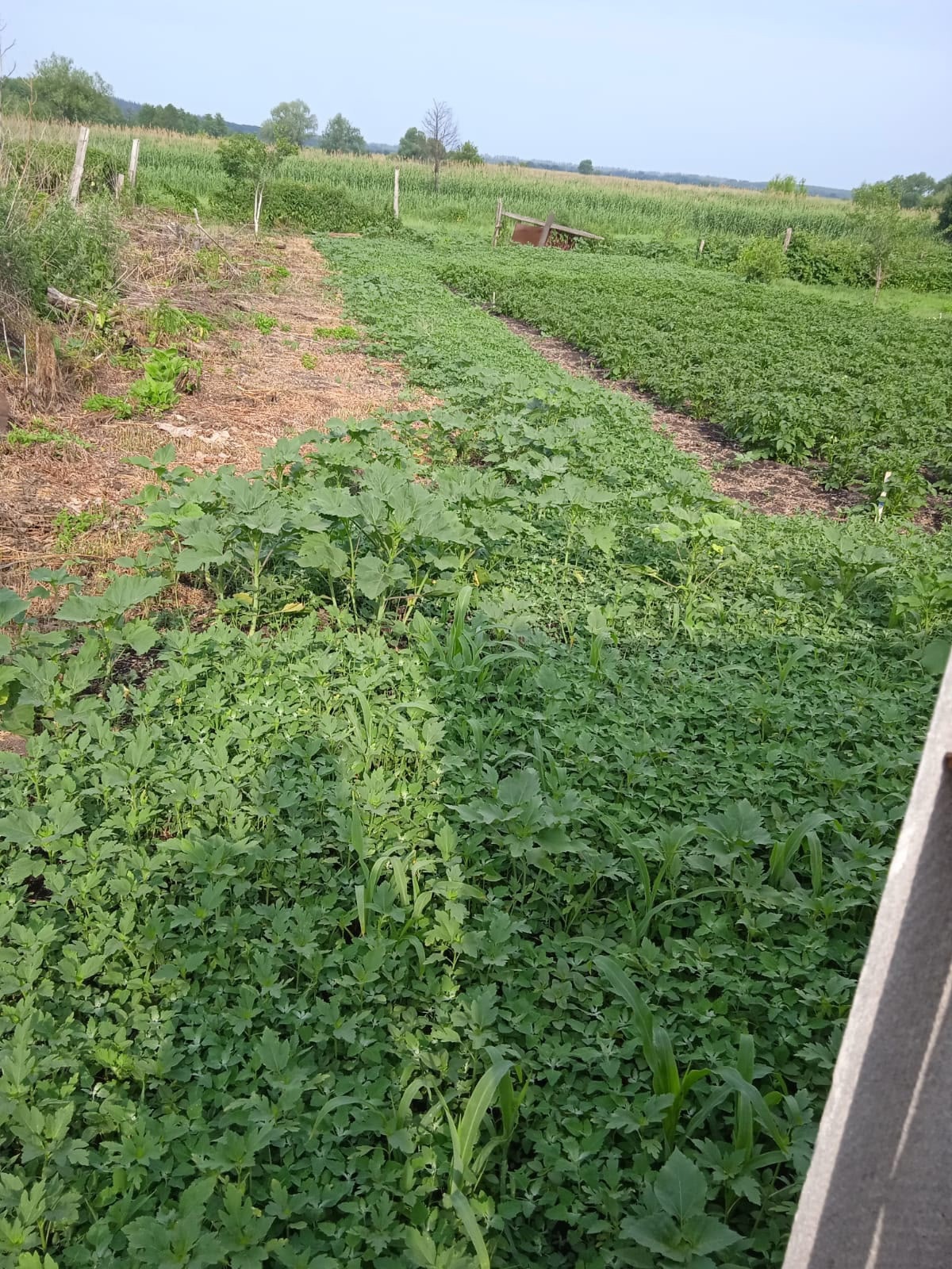 Дом у озера в Пчелиновке (7)