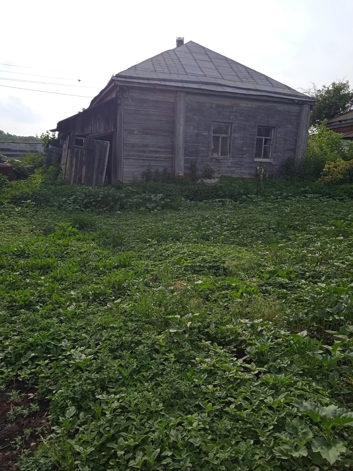 Дом у озера в Пчелиновке (1)