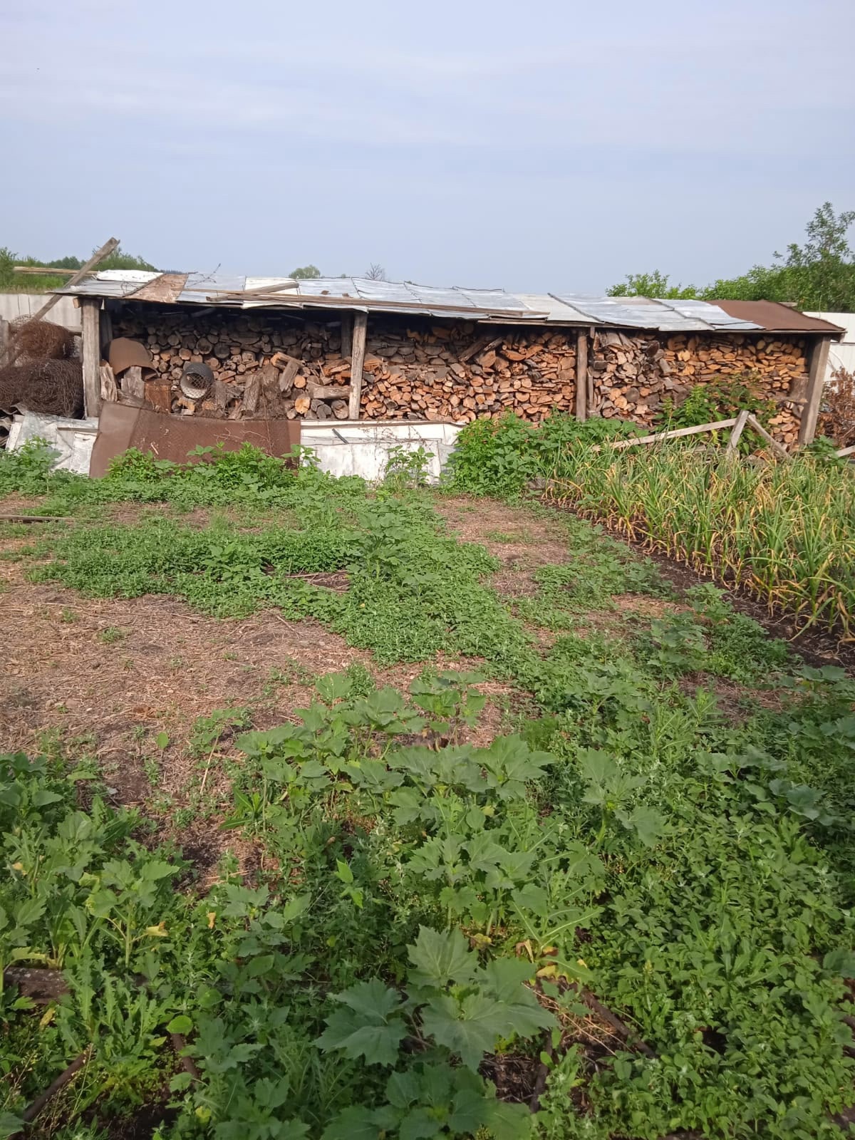 Дом у озера в Пчелиновке (2)