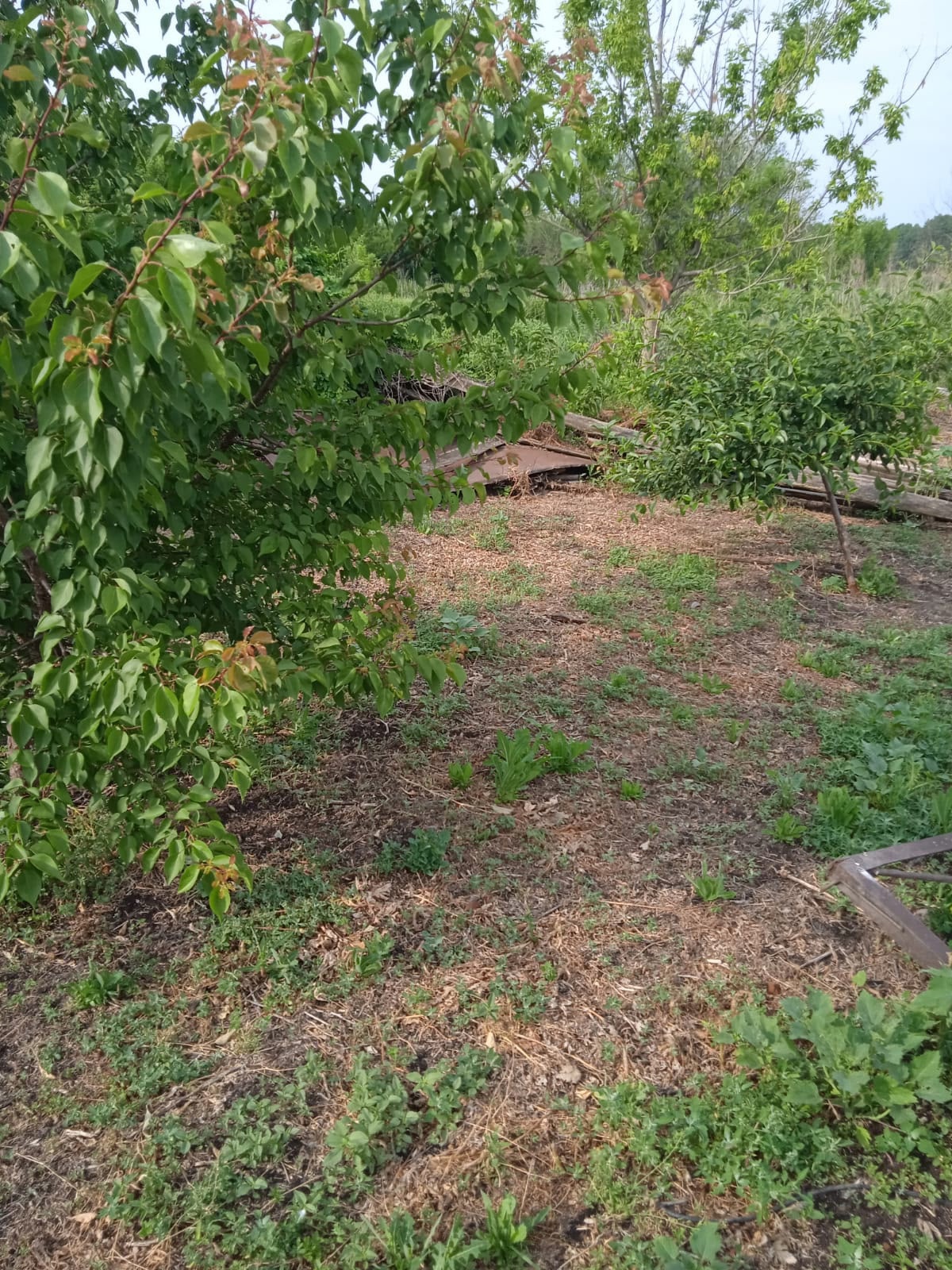 Дом у озера в Пчелиновке (4)