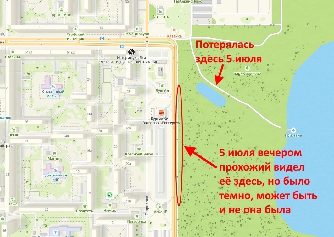 Потерялась кошка в парке 5