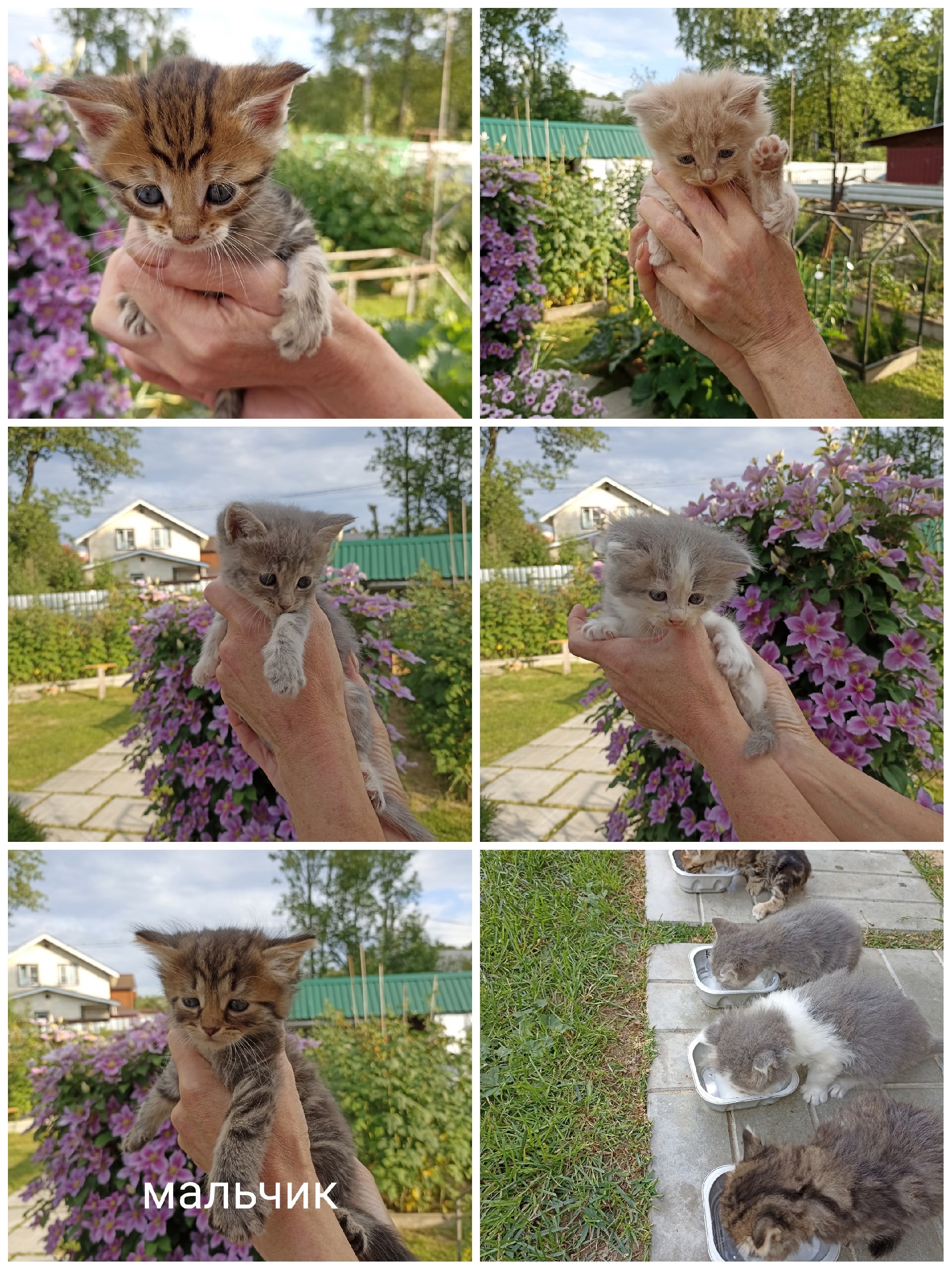 Друзья, кто ищет себе друга?