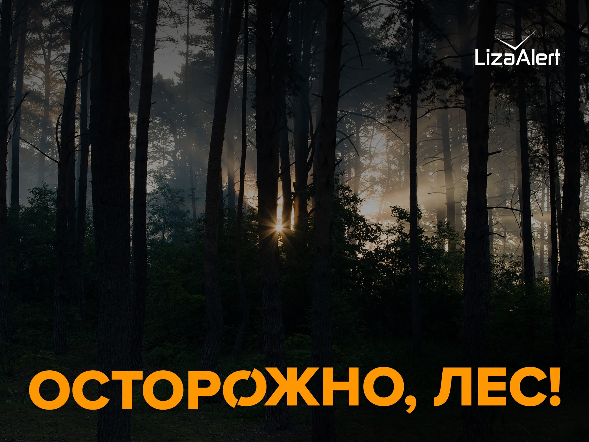 Многие с нетерпением ждут тепла.