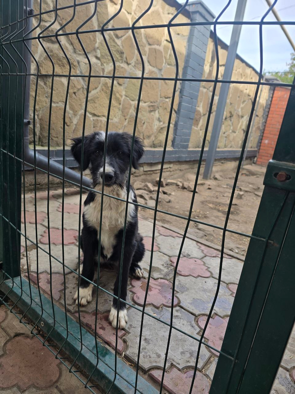 Кукла ищет семью в Макеевке