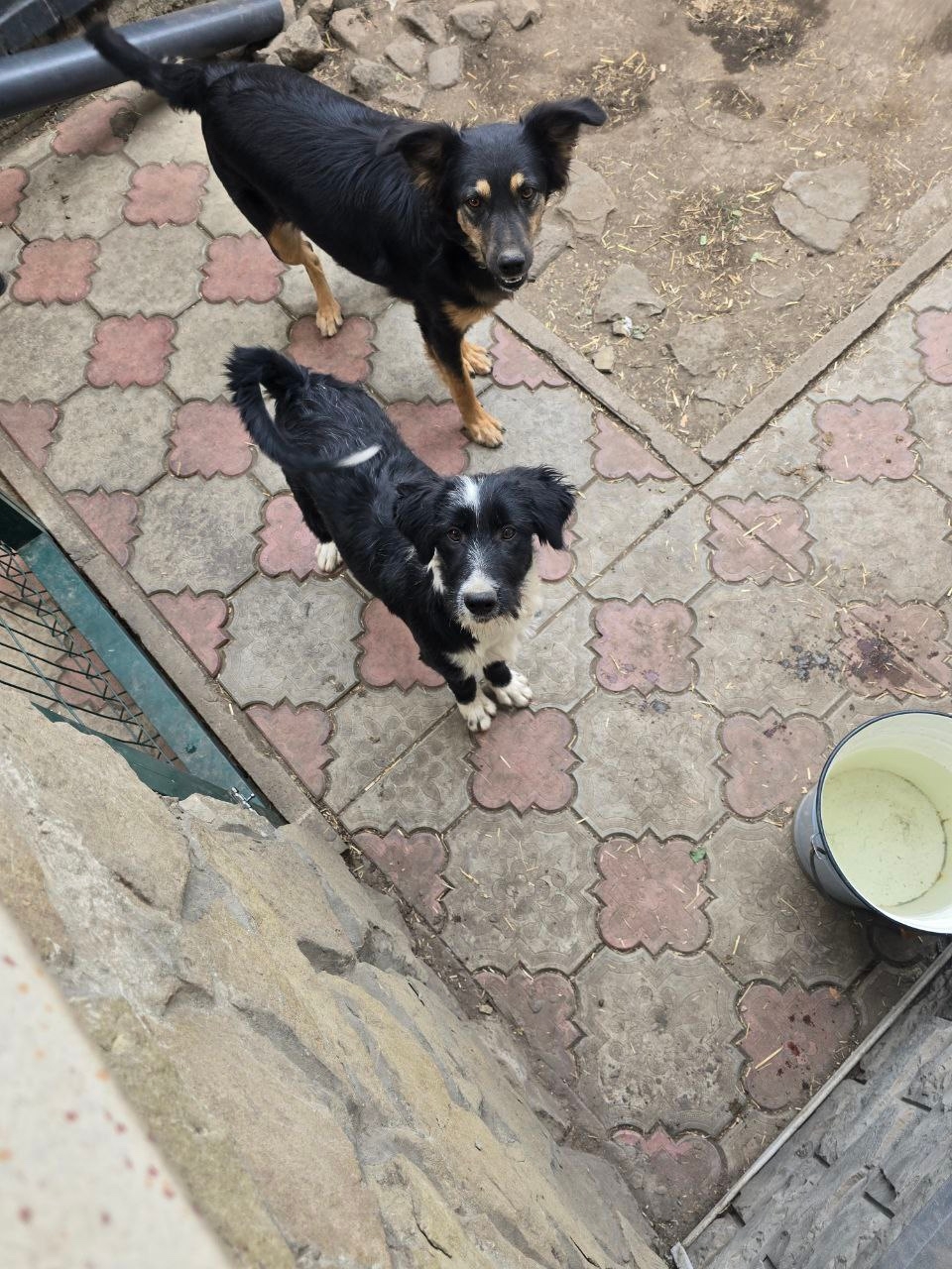 Кукла ищет семью в Макеевке (2)