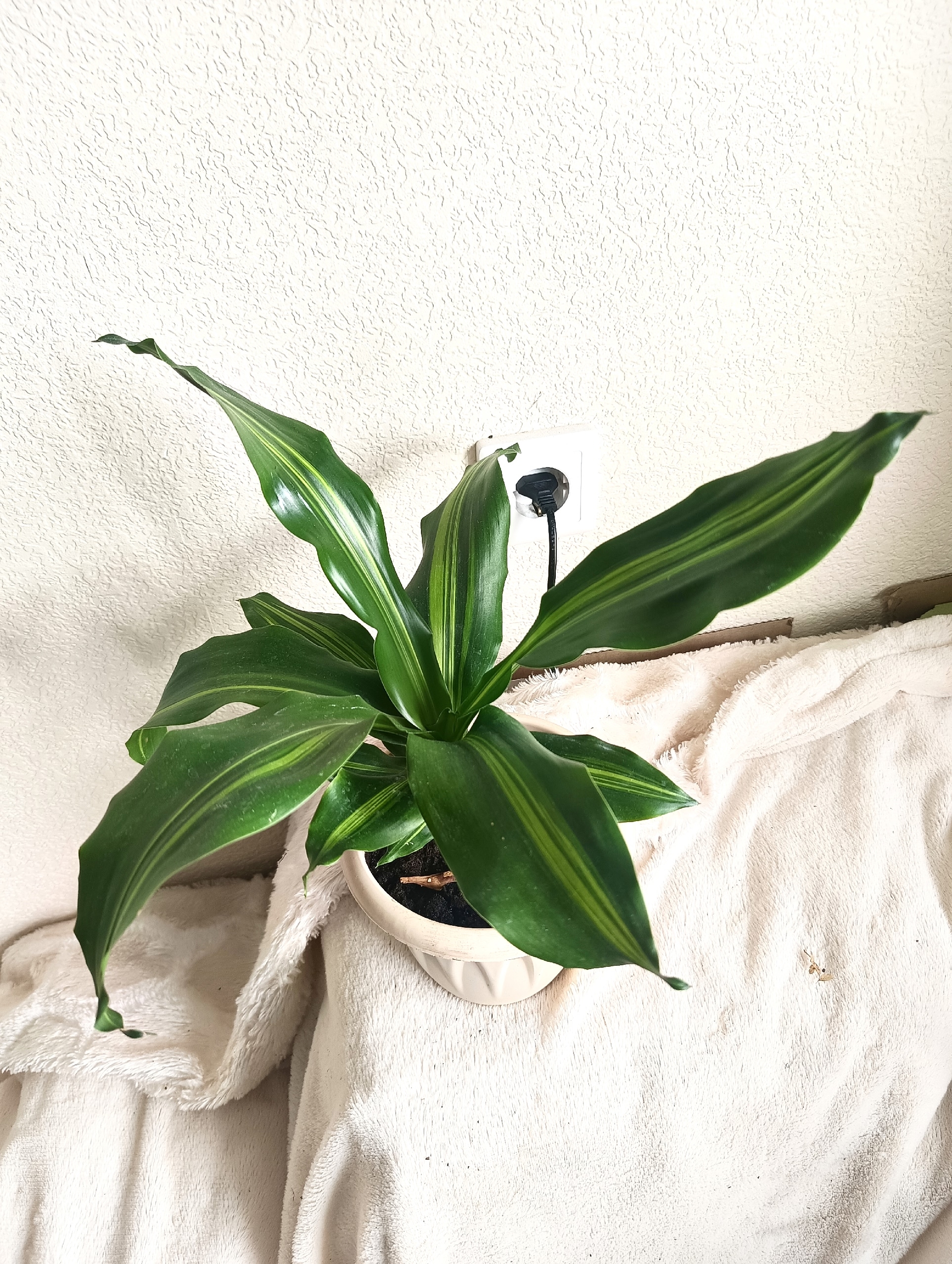 Актуальные предложения по цветам Предлагаем (3)