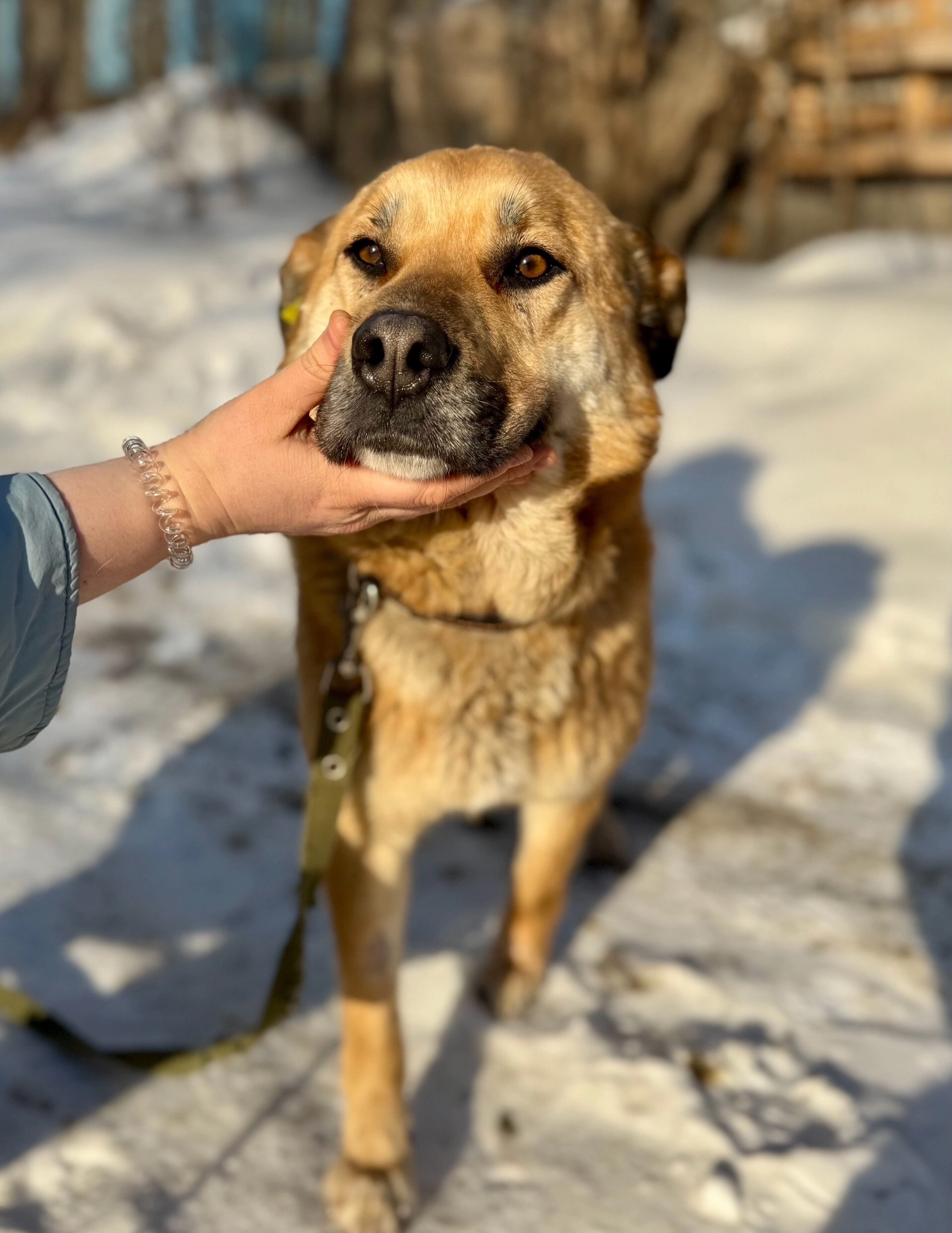 Солнечный Рич жаждет любви Он (2)