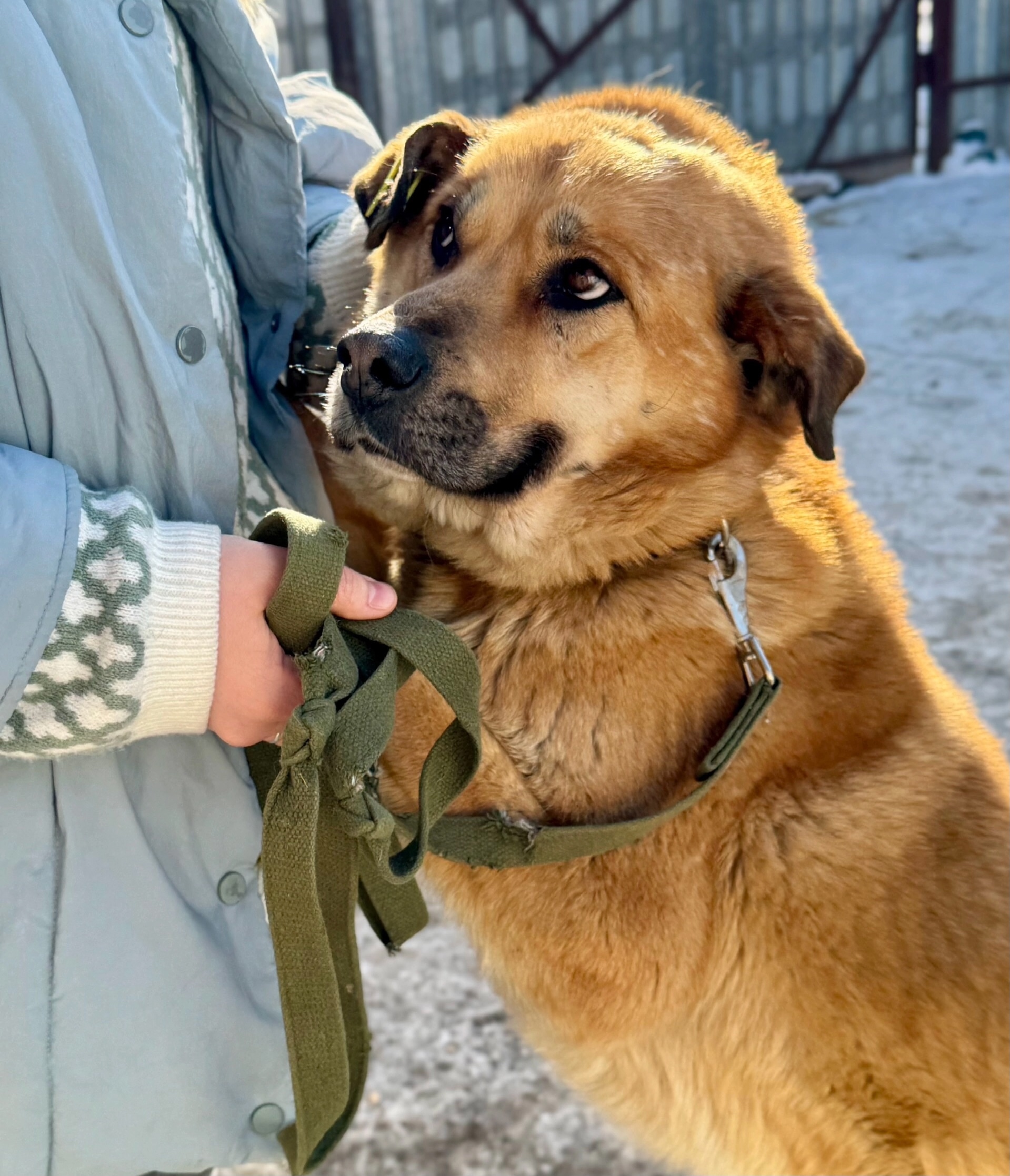 Солнечный Рич жаждет любви Он (1)