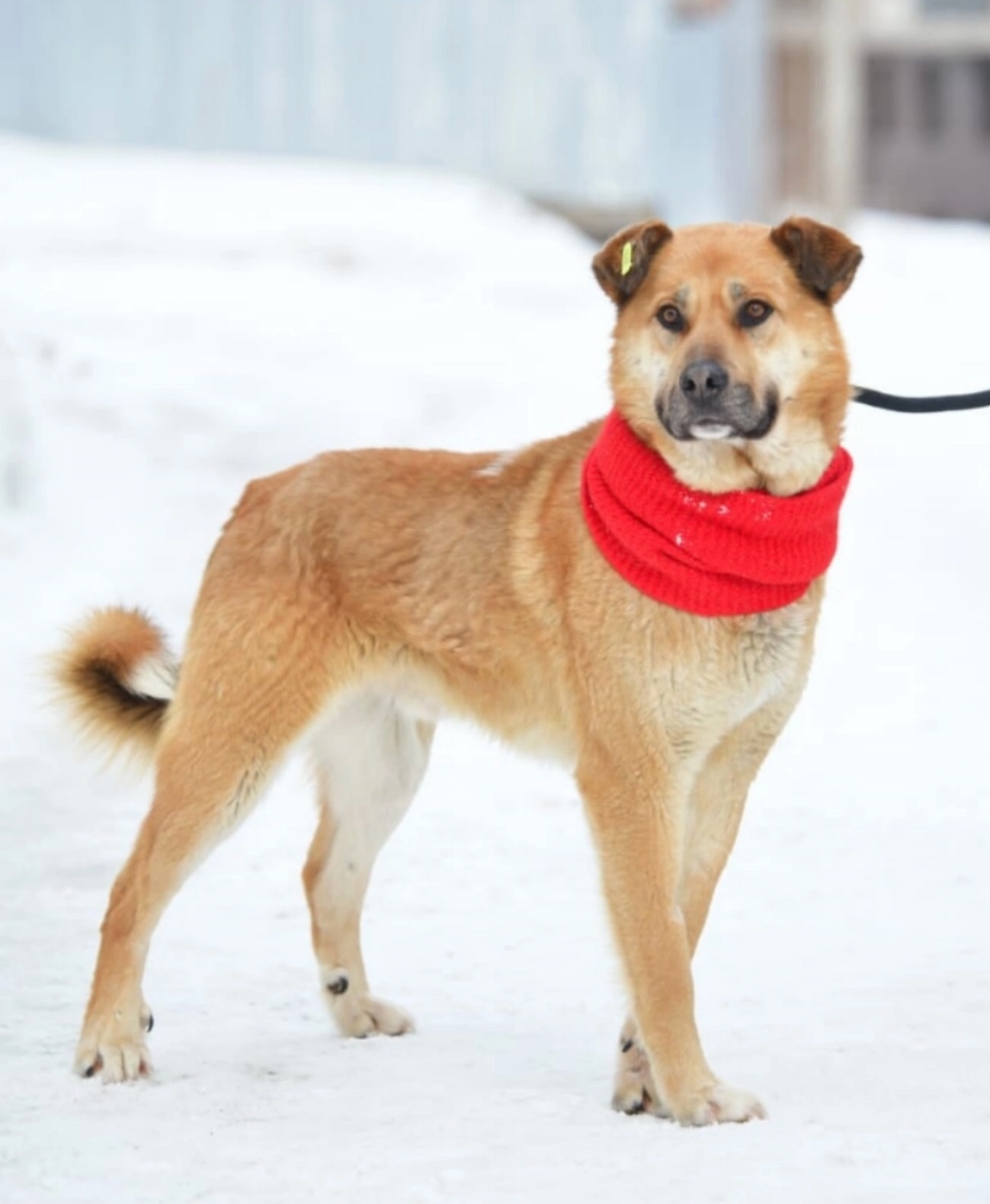 Солнечный Рич жаждет любви Он (3)