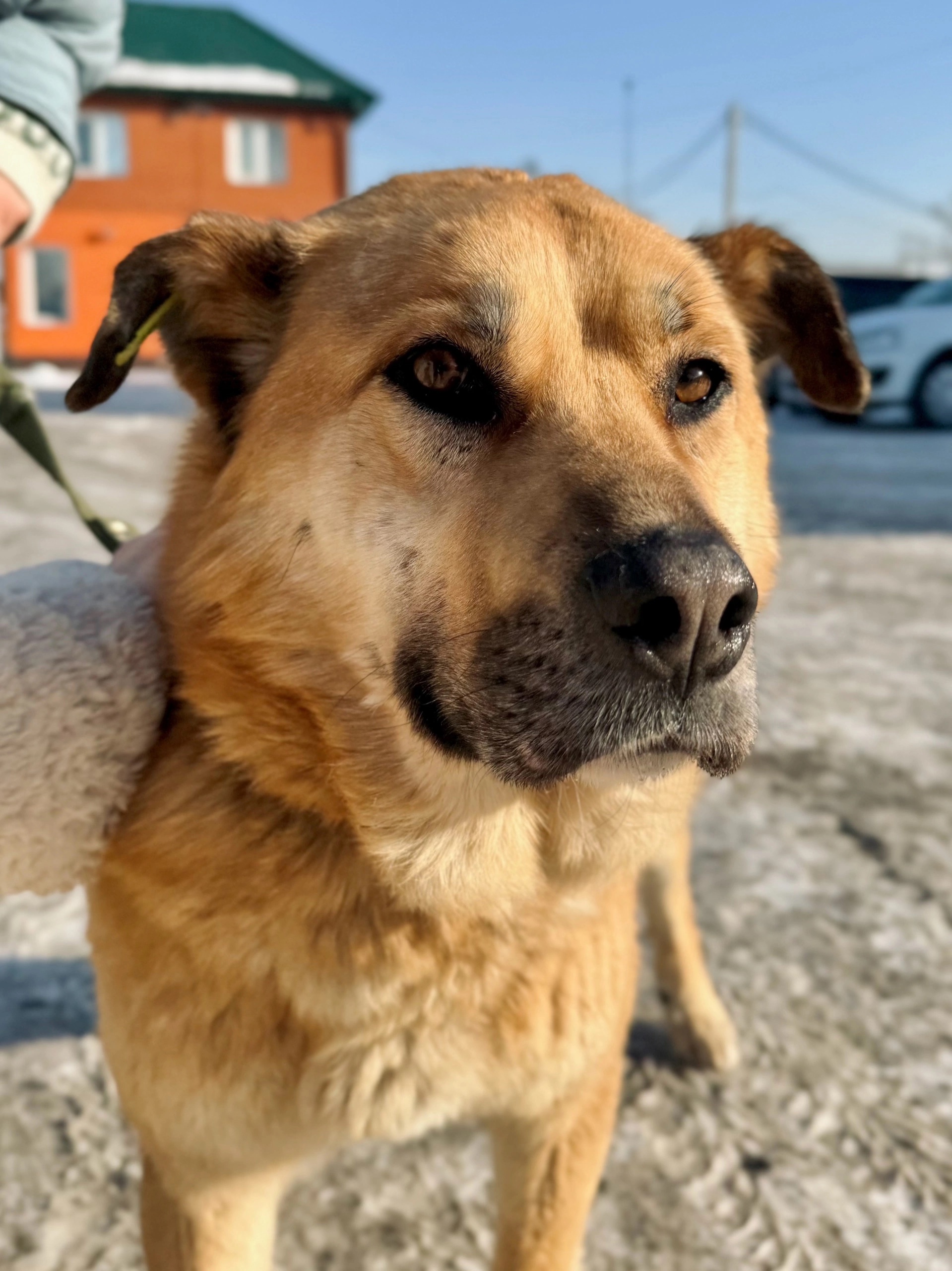 Солнечный Рич жаждет любви Он