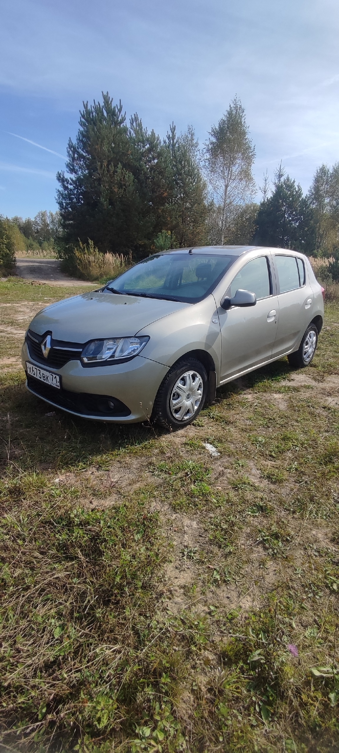 Renault Sandero 2015, Отличное Состояние