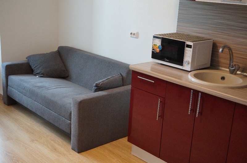 Сдам квартиру в аренду Однушка (3)