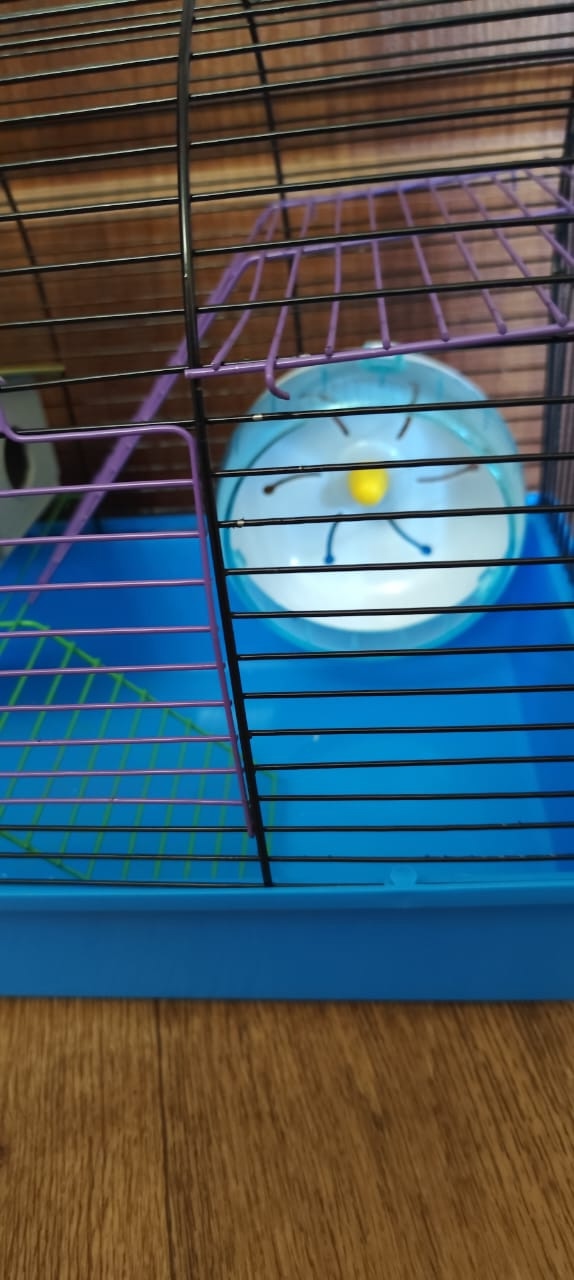Большая клетка для грызунов Продается (1)