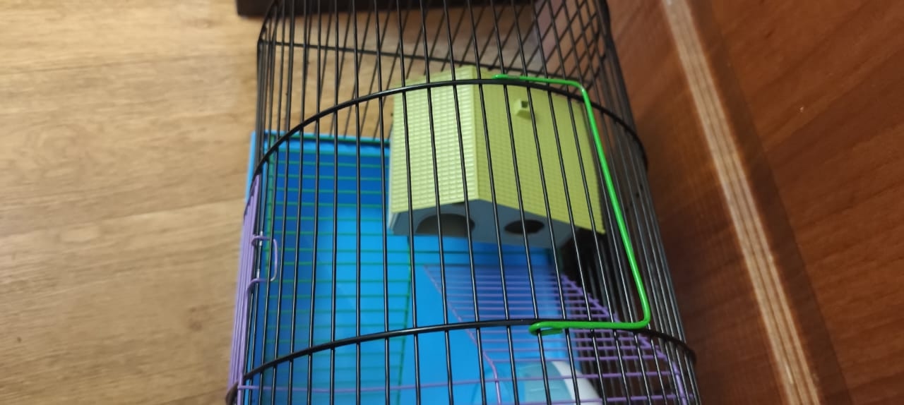 Большая клетка для грызунов Продается (4)