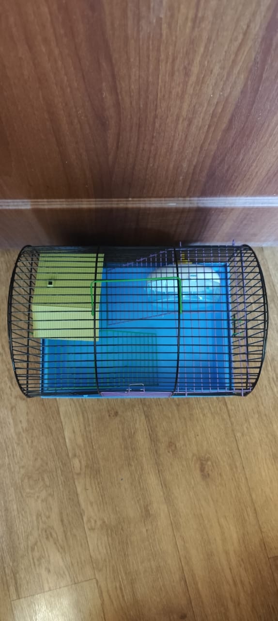 Большая клетка для грызунов Продается (3)