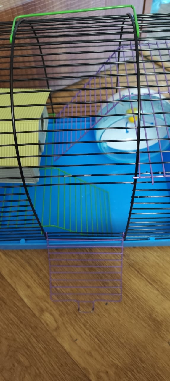 Большая клетка для грызунов Продается