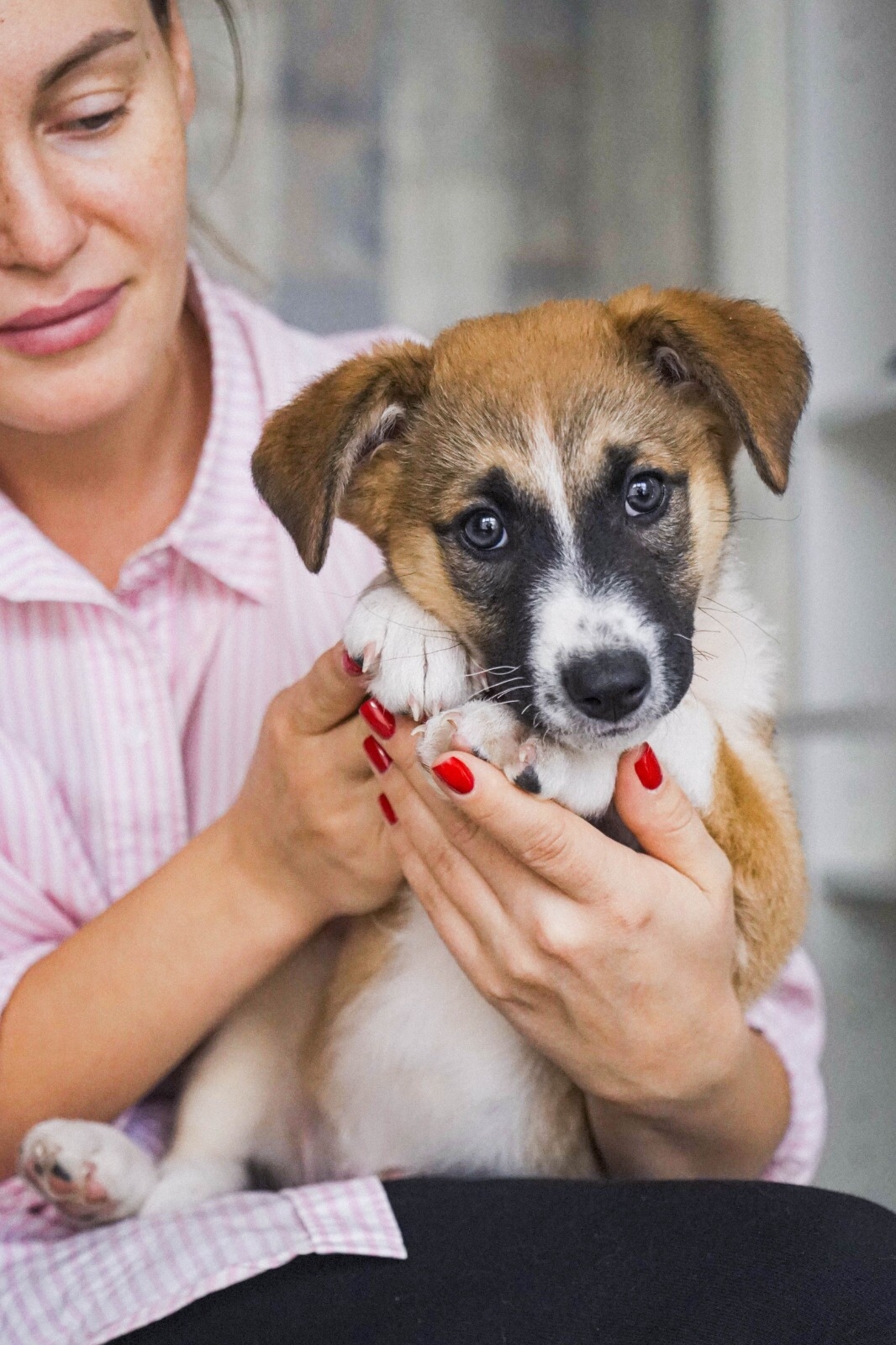 Срочно ищем заботливых хозяев Две (4)