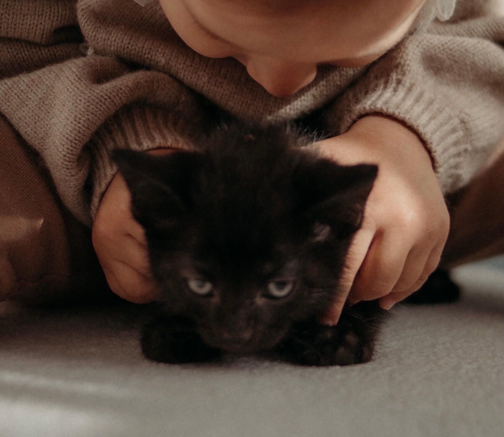 Очаровательный котёнок ищет любящую семью (1)