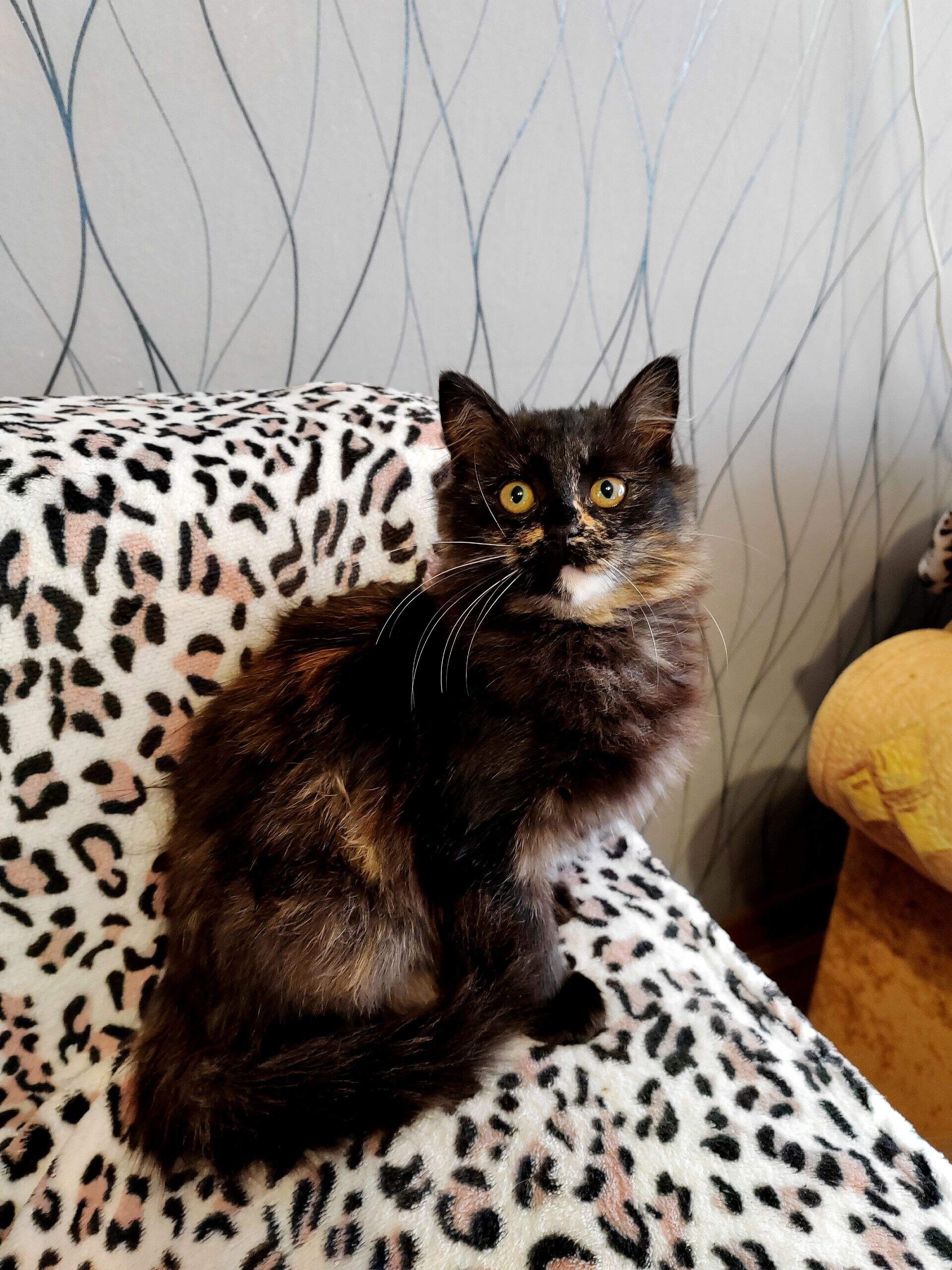 В Кинешме ищут дом для