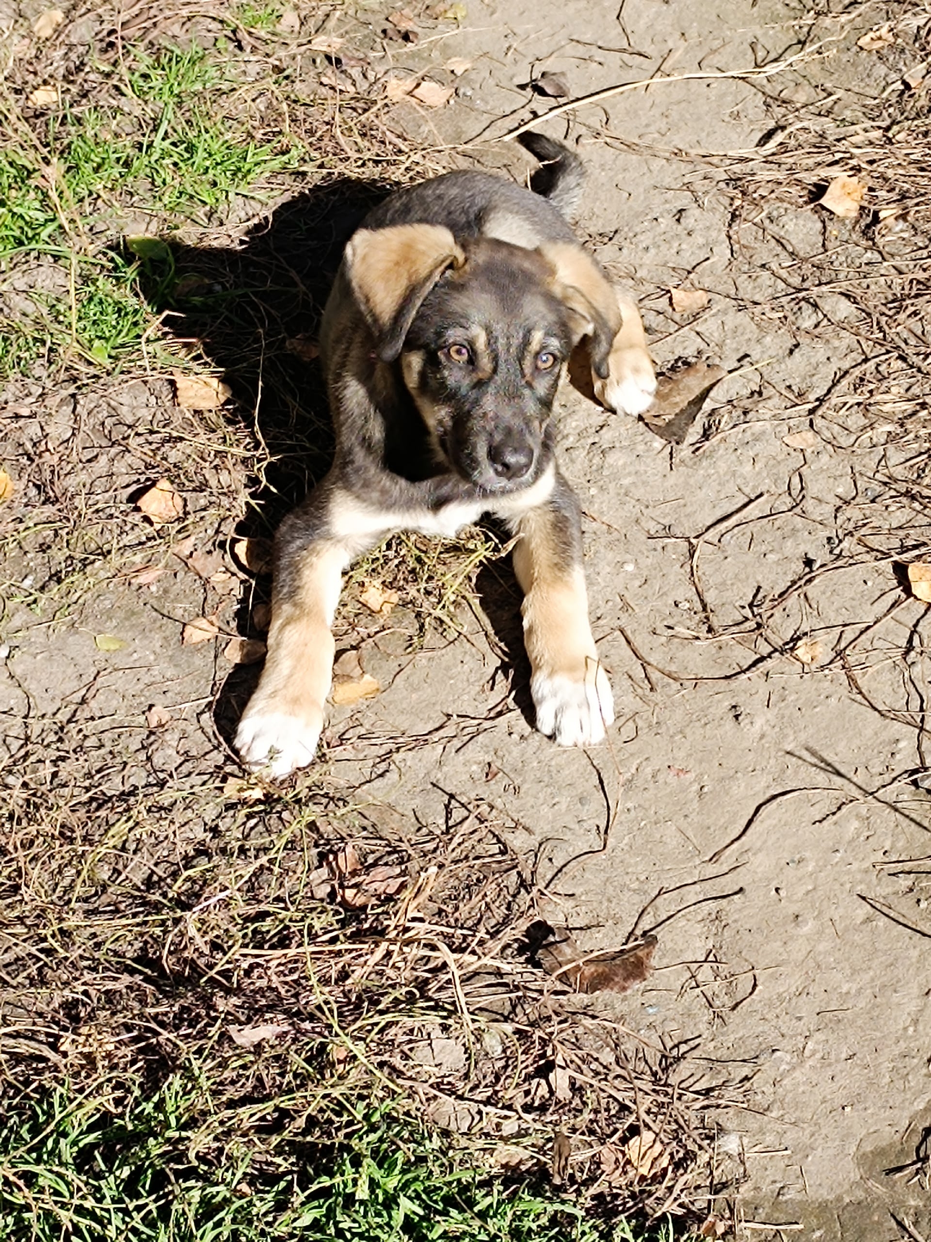 Ищу дом: Ивановская область Меня (1)